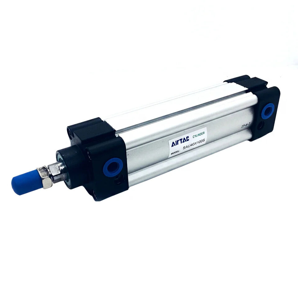 Piston - ACQ40X100-S-B  PT