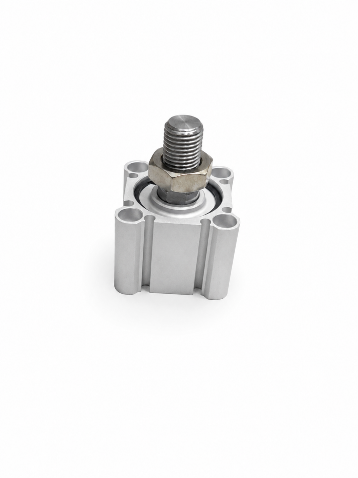 Piston - CQ2B32-10DM-FB