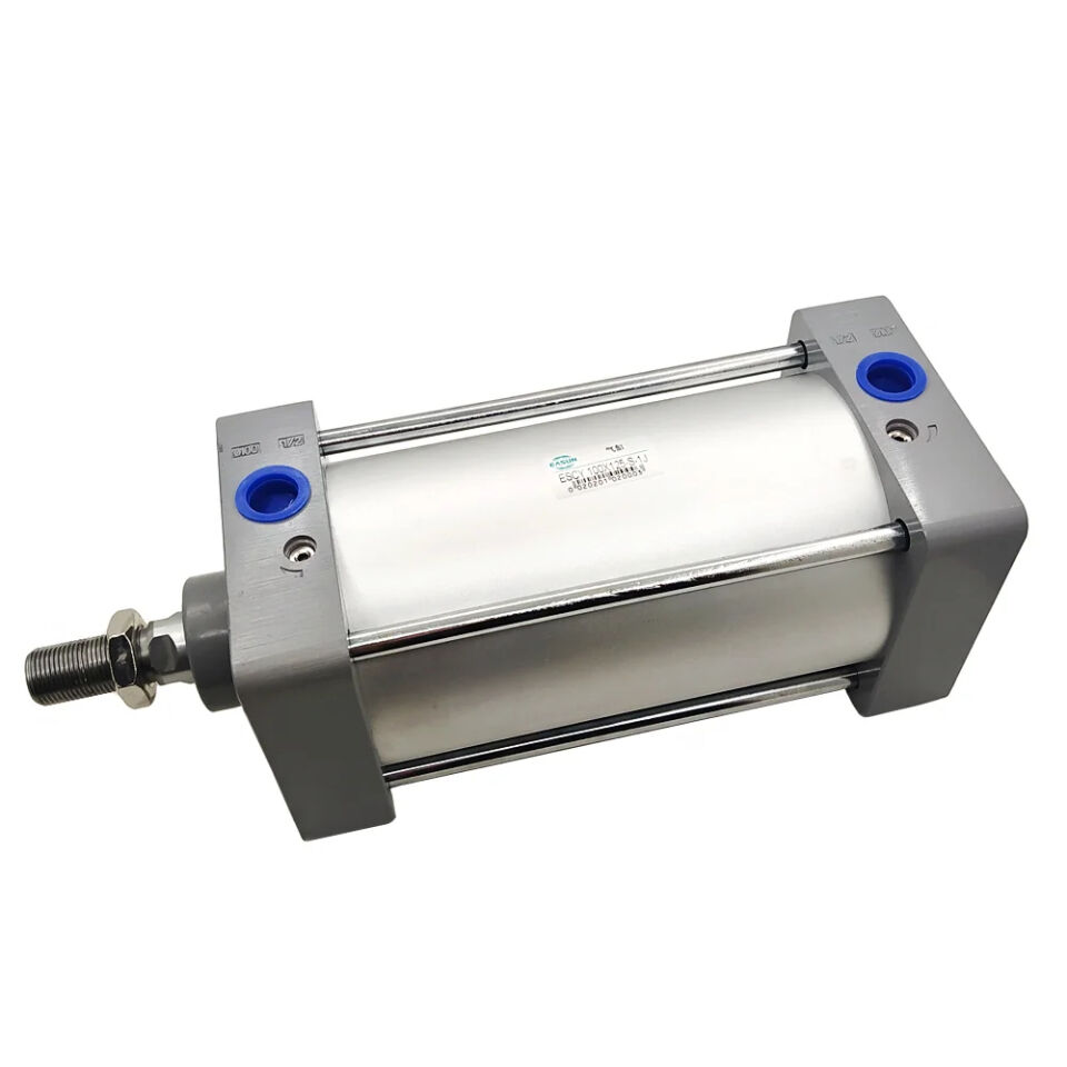 Piston - ESCY100*125-S-(1J)